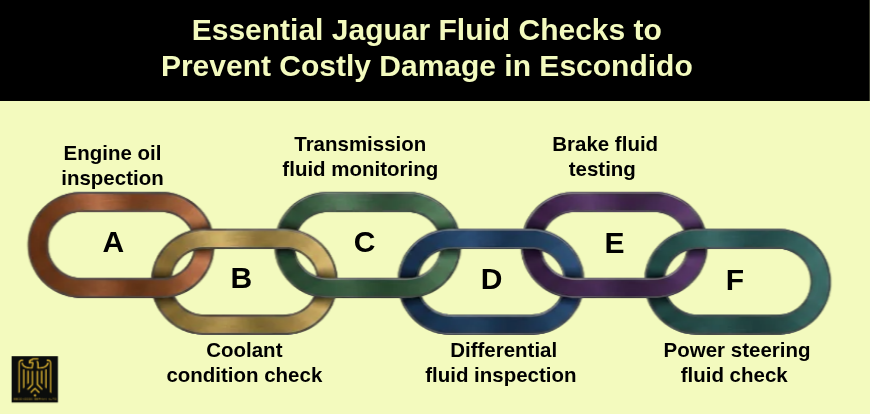 Essential Jaguar Fluid Checks to Prevent Costly Damage in Escondido