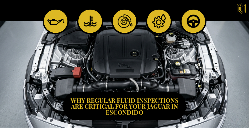 Why Regular Fluid Inspections Are Critical for Your Jaguar in Escondido