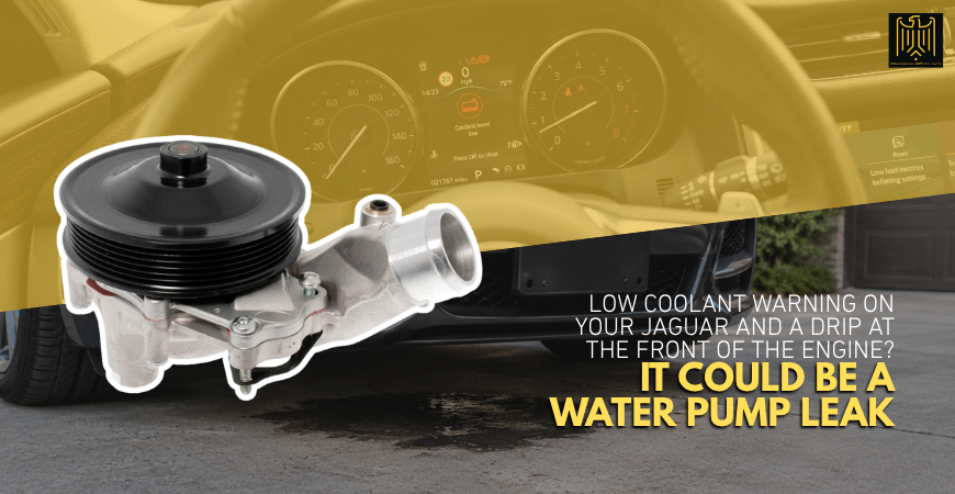 Low Coolant Warning on Your Jaguar and a Drip at the Front of the Engine? It Could Be a Water Pump Leak